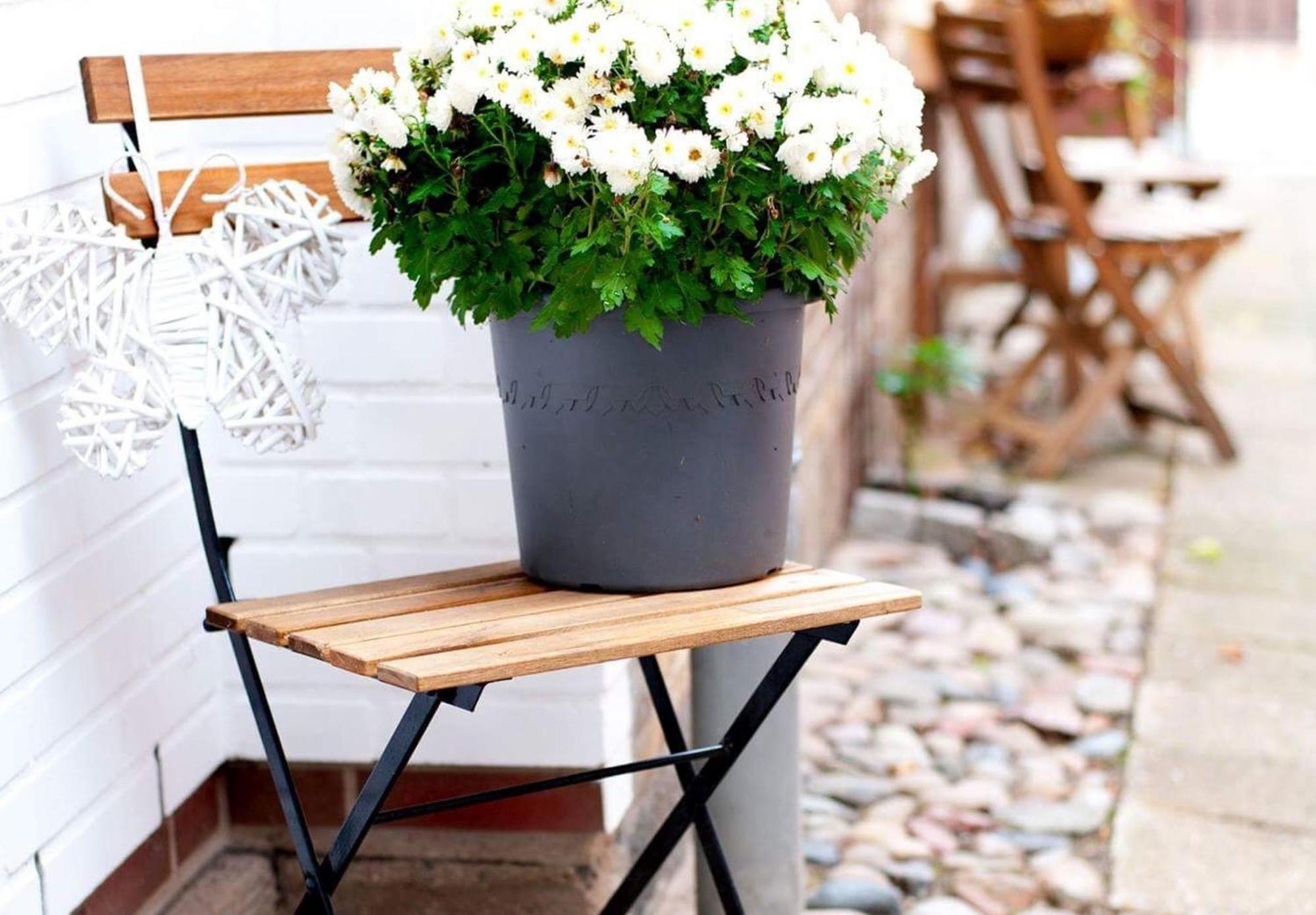 Trautes Heim Ferienwohnung Ost Maasholm Ngoại thất bức ảnh